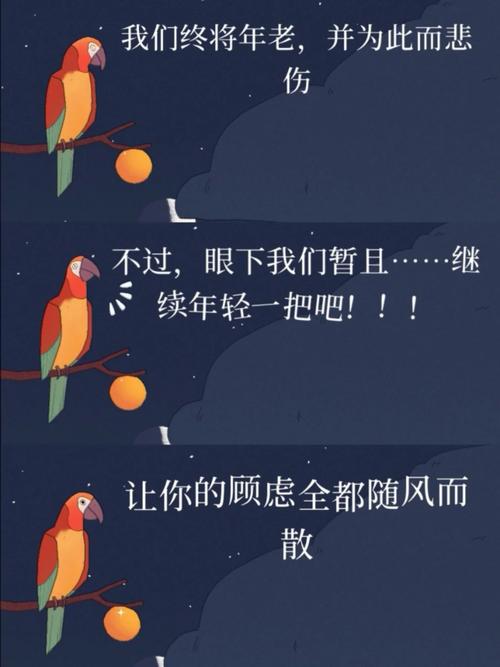 孤独的鸟儿游戏下载官方版本_孤独的鸟儿手机版安卓苹果下载 孤独的鸟儿游戏下载官方版本_孤独的鸟儿手机版安卓苹果下载