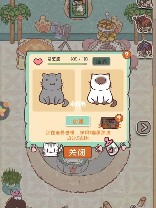 开心猫舍游戏下载官方版本_开心猫舍手机版安卓苹果下载 开心猫舍游戏下载官方版本_开心猫舍手机版安卓苹果下载