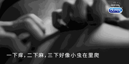 GIF豆豆下载安卓版_官方手机app下载_GIF豆豆电脑PC端最新版本