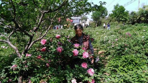 如意老人大桌面下载安卓版_官方手机app下载_如意老人大桌面电脑PC端最新版本 如意老人大桌面下载安卓版_官方手机app下载_如意老人大桌面电脑PC端最新版本