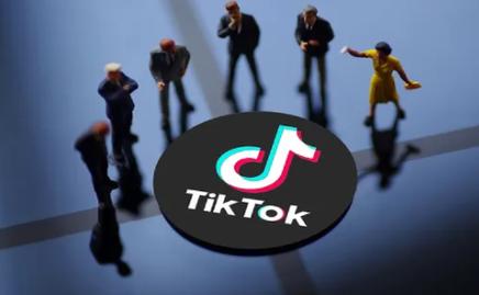 TikTok日本版下载安卓版_官方手机app下载_TikTok日本版电脑PC端最新版本 TikTok日本版下载安卓版_官方手机app下载_TikTok日本版电脑PC端最新版本