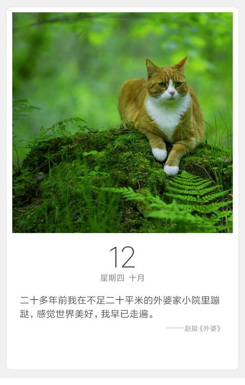 一日猫下载安卓版_官方手机app下载_一日猫电脑PC端最新版本 一日猫下载安卓版_官方手机app下载_一日猫电脑PC端最新版本
