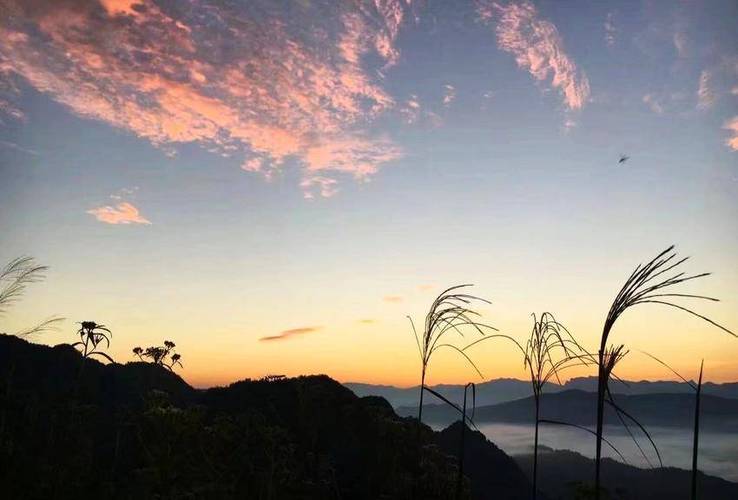 云上鹤峰软件下载安卓版_官方手机app下载_云上鹤峰电脑PC端最新版本 云上鹤峰软件下载安卓版_官方手机app下载_云上鹤峰电脑PC端最新版本