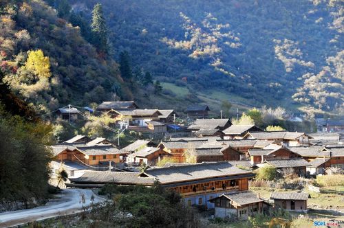 五彩平武软件下载安卓版_官方手机app下载_五彩平武电脑PC端最新版本