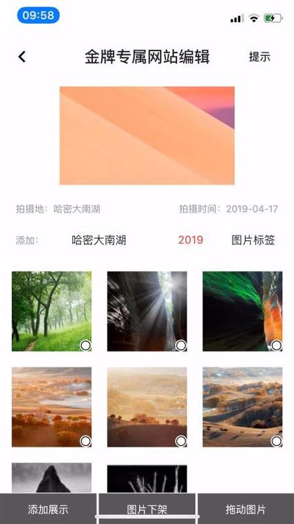 哪拍网下载安卓版_官方手机app下载_哪拍网电脑PC端最新版本