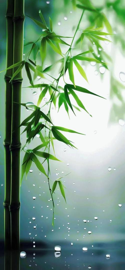 Free护眼软件下载安卓版_官方手机app下载_Free护眼电脑PC端最新版本 Free护眼软件下载安卓版_官方手机app下载_Free护眼电脑PC端最新版本