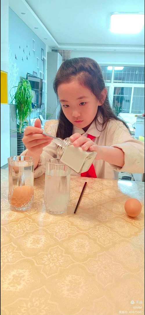 会游泳的鸡蛋游戏下载_会游泳的鸡蛋官网下载_安卓苹果app 会游泳的鸡蛋游戏下载_会游泳的鸡蛋官网下载_安卓苹果app