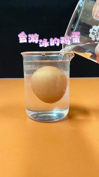 会游泳的鸡蛋游戏下载_会游泳的鸡蛋官网下载_安卓苹果app