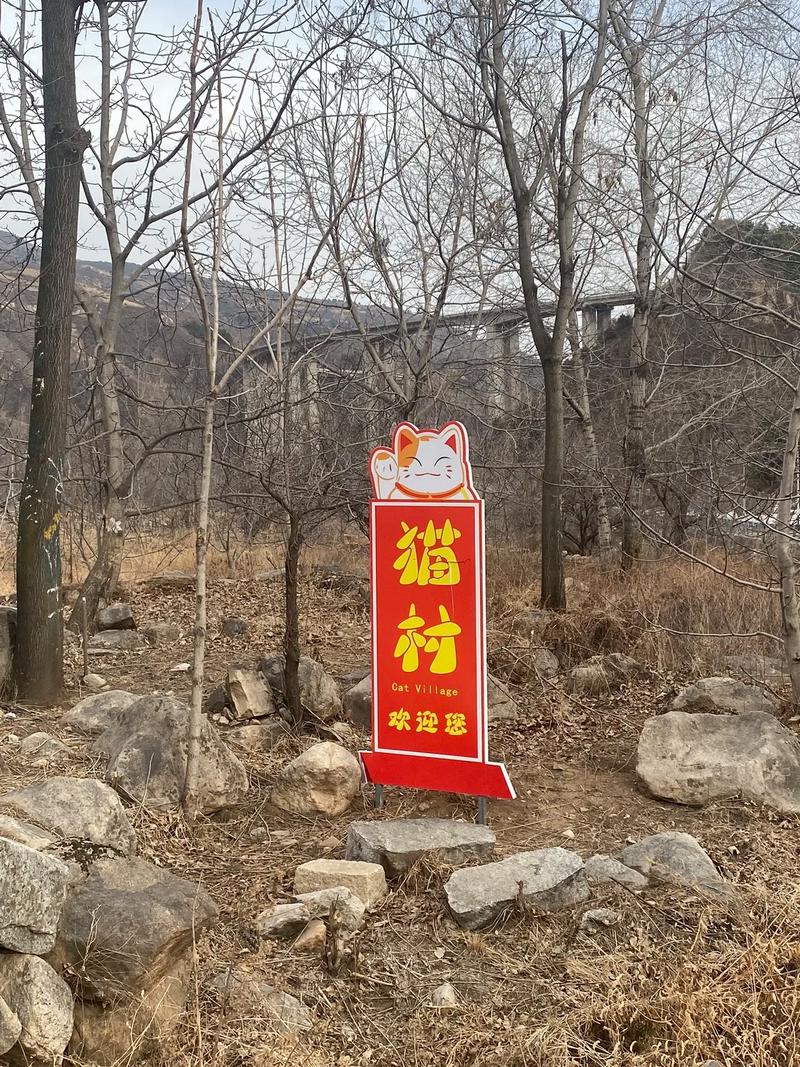 猫村官方app下载_猫村安卓版手机客户端_猫村电脑客户端最新版 猫村官方app下载_猫村安卓版手机客户端_猫村电脑客户端最新版