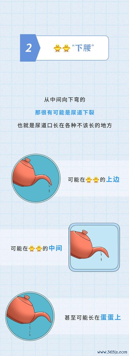 丁丁快洗下载安卓版_官方手机app下载_丁丁快洗电脑PC端最新版本 丁丁快洗下载安卓版_官方手机app下载_丁丁快洗电脑PC端最新版本
