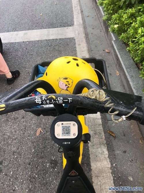 小遛共享下载安卓版_官方手机app下载_小遛共享电脑PC端最新版本 小遛共享下载安卓版_官方手机app下载_小遛共享电脑PC端最新版本