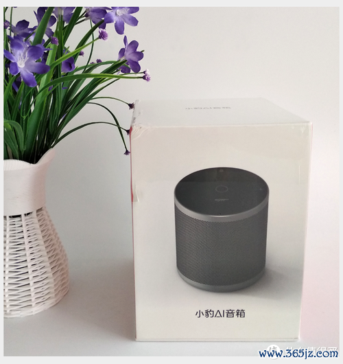 小豹AI音箱软件下载安卓版_官方手机app下载_小豹AI音箱电脑PC端最新版本 小豹AI音箱软件下载安卓版_官方手机app下载_小豹AI音箱电脑PC端最新版本