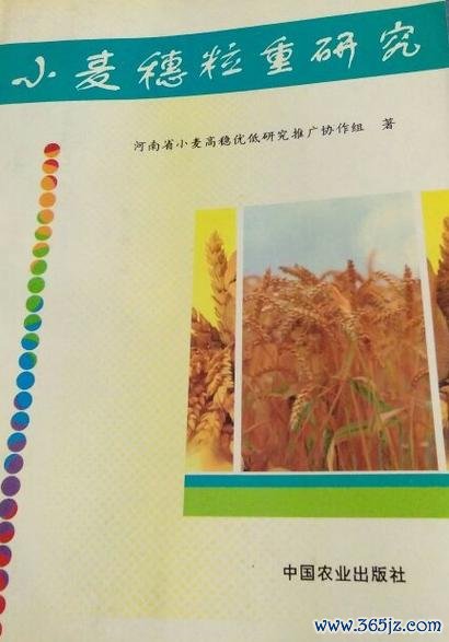 小麦学堂APP下载_官方手机版下载_小麦学堂电脑PC端最新版本