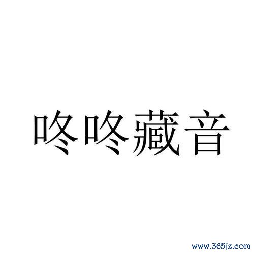 咚咚藏音软件下载安卓版_官方手机app下载_咚咚藏音电脑PC端最新版本