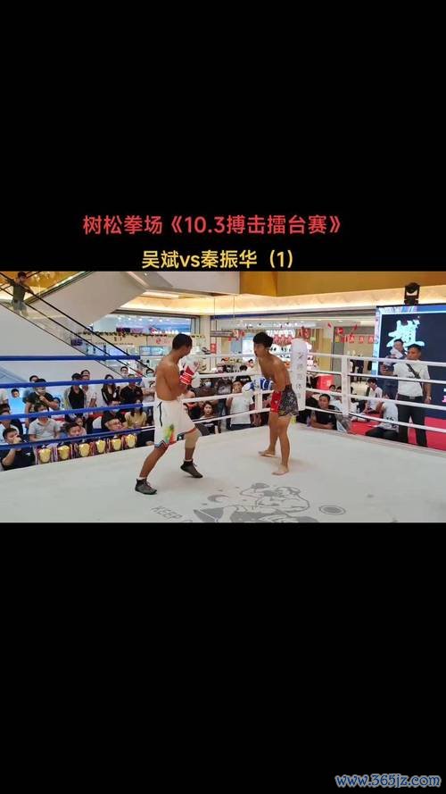 擂台搏击赛官方版本游戏下载_擂台搏击赛手机版安卓苹果下载