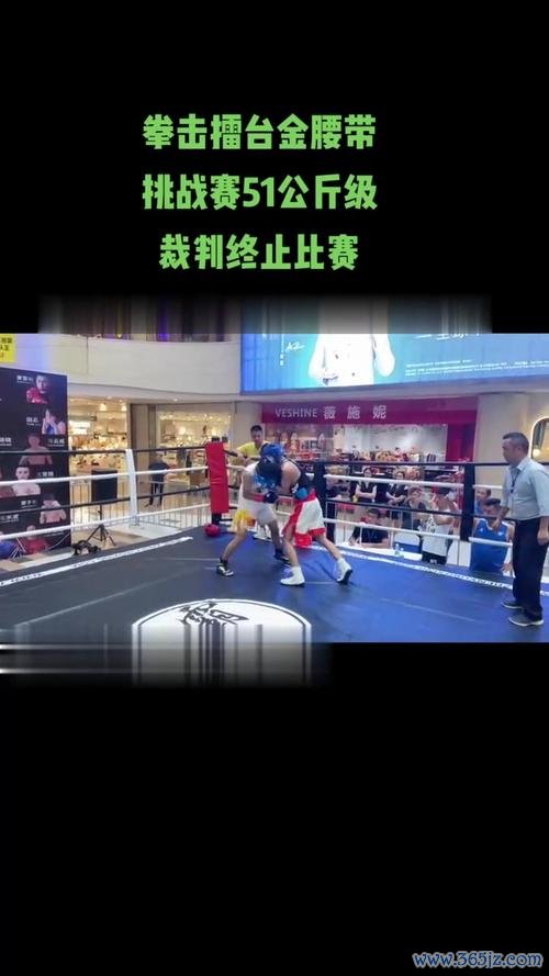 擂台搏击赛官方版本游戏下载_擂台搏击赛手机版安卓苹果下载