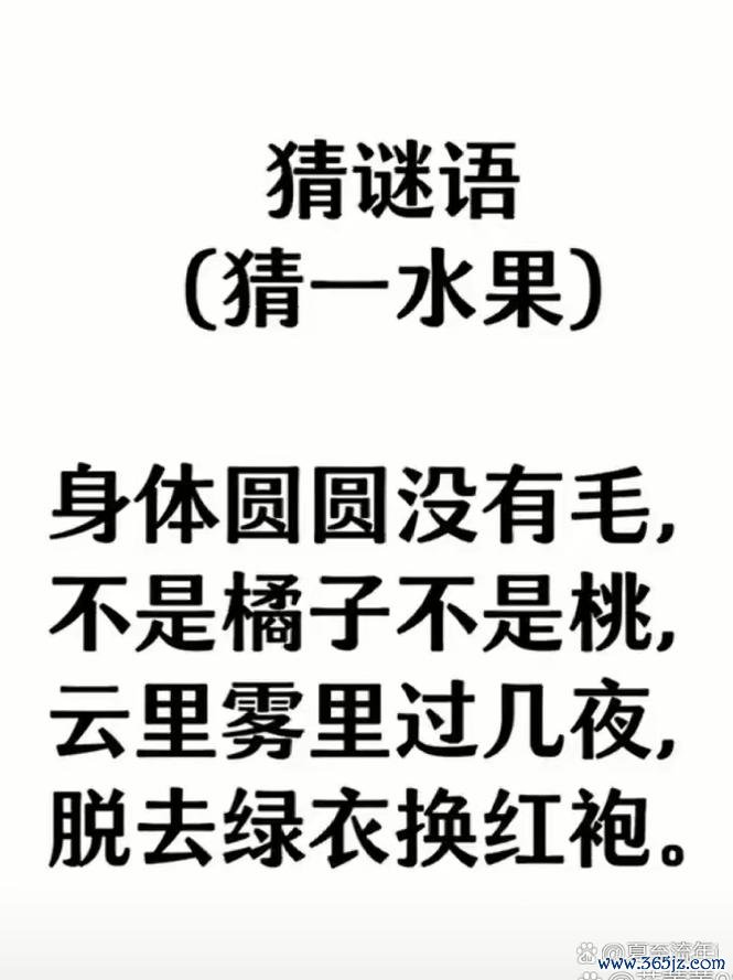猜谜高手软件下载安卓版_官方手机app下载_猜谜高手软件电脑PC端最新版本