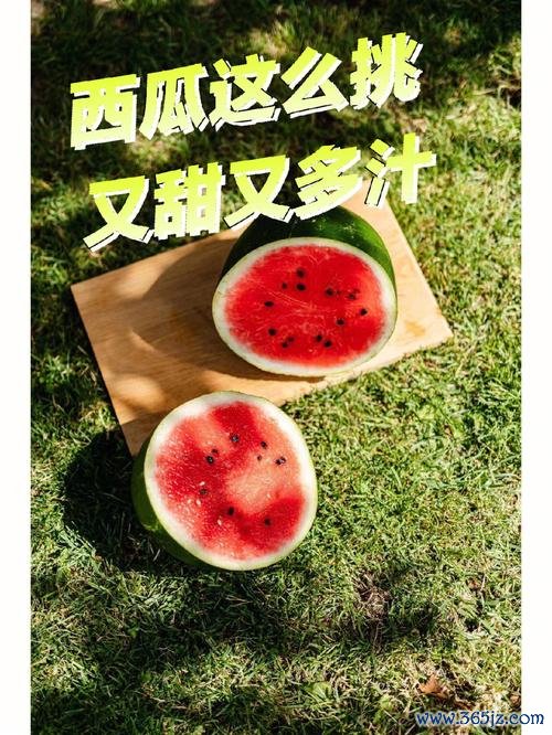 瓜甜软件下载_官方手机版下载_瓜甜电脑PC端最新版本 瓜甜软件下载_官方手机版下载_瓜甜电脑PC端最新版本