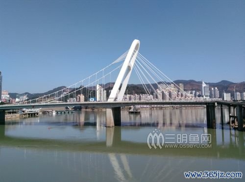 三明鱼网软件下载安卓版_官方手机app下载_三明鱼网电脑PC端最新版本
