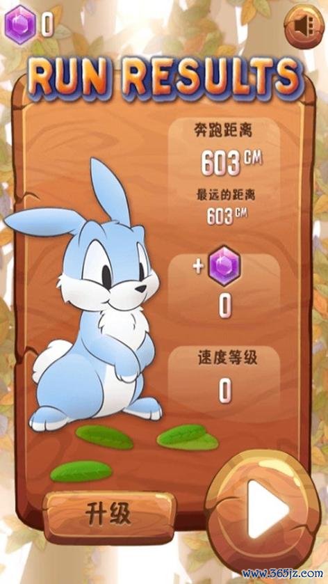 兔子克星游戏下载_兔子克星手游下载_兔子克星安卓苹果app 兔子克星游戏下载_兔子克星手游下载_兔子克星安卓苹果app