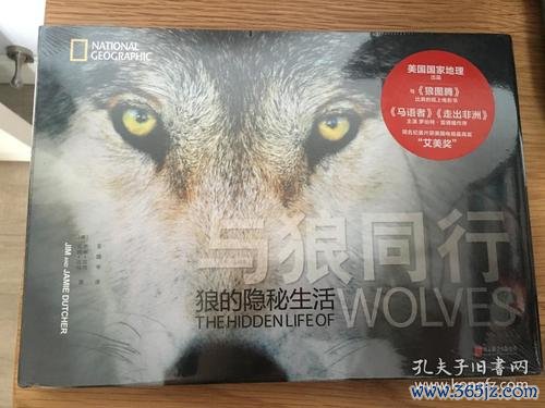 与狼同行最全游戏攻略解说_与狼同行最新游戏技巧通关 与狼同行最全游戏攻略解说_与狼同行最新游戏技巧通关