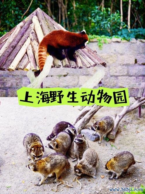 上海野生动物园官方app下载_安卓版手机客户端_电脑PC端最新版本 上海野生动物园官方app下载_安卓版手机客户端_电脑PC端最新版本