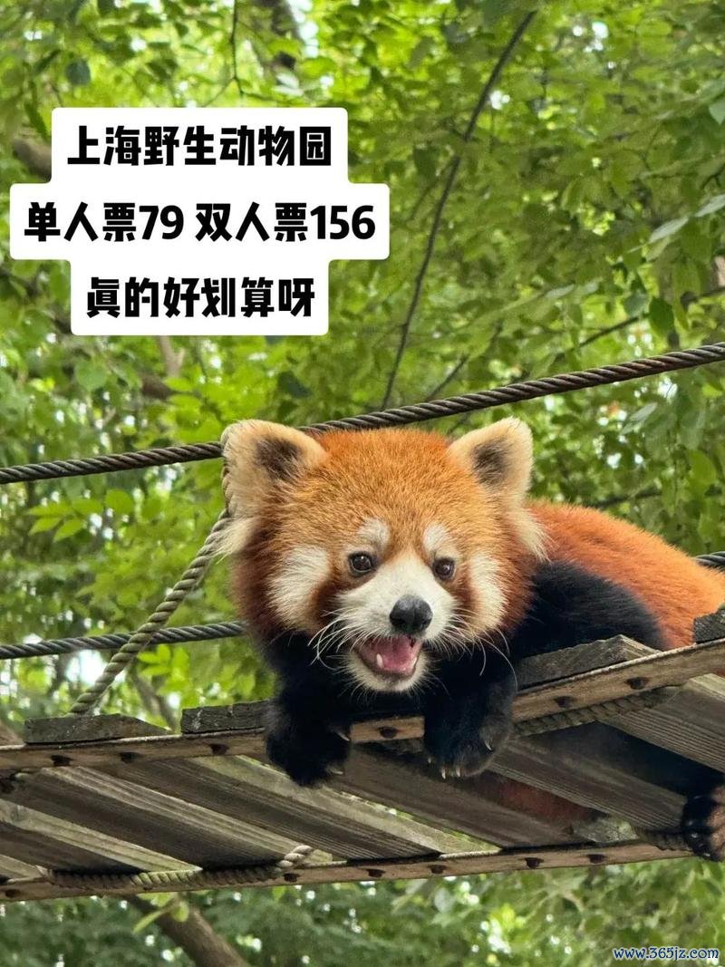 上海野生动物园官方app下载_安卓版手机客户端_电脑PC端最新版本 上海野生动物园官方app下载_安卓版手机客户端_电脑PC端最新版本