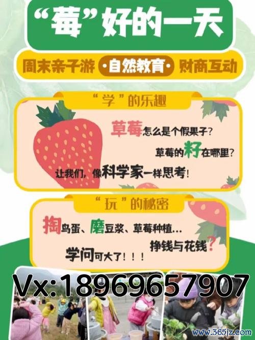亲子周末app下载安卓版_官方手机应用下载_亲子周末电脑PC端最新版本