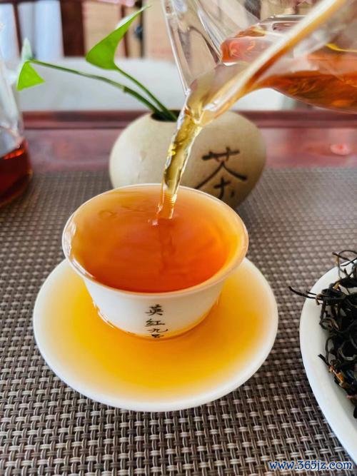 秋茶app下载安卓版_官方手机应用下载_秋茶电脑PC端最新版本