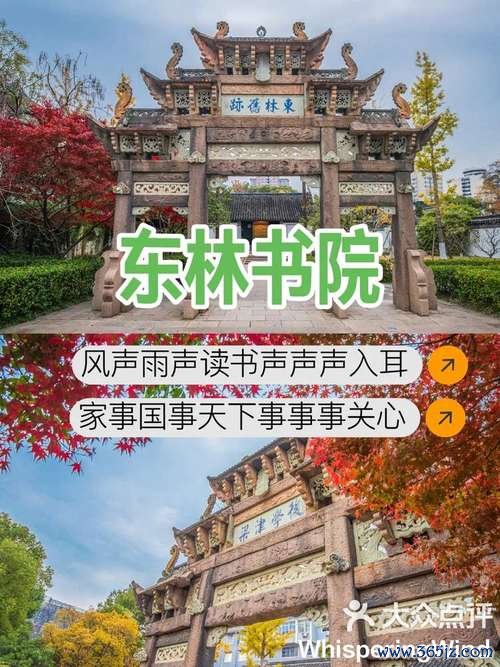 东林论坛软件下载安卓版_官方手机app下载_东林论坛电脑PC端最新版本 东林论坛软件下载安卓版_官方手机app下载_东林论坛电脑PC端最新版本