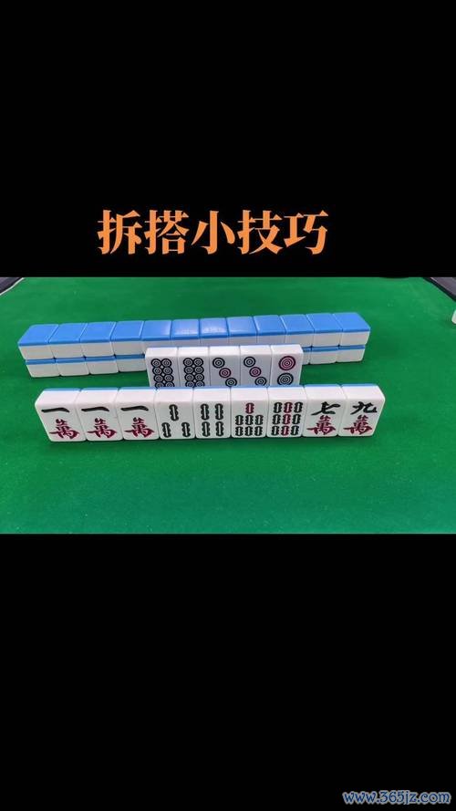 两人打麻将最全游戏攻略解说_两人打麻将最新游戏技巧通关 两人打麻将最全游戏攻略解说_两人打麻将最新游戏技巧通关