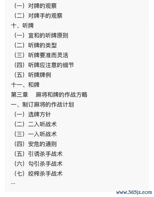 两人麻将最全游戏攻略解说_两人麻将最新游戏技巧通关