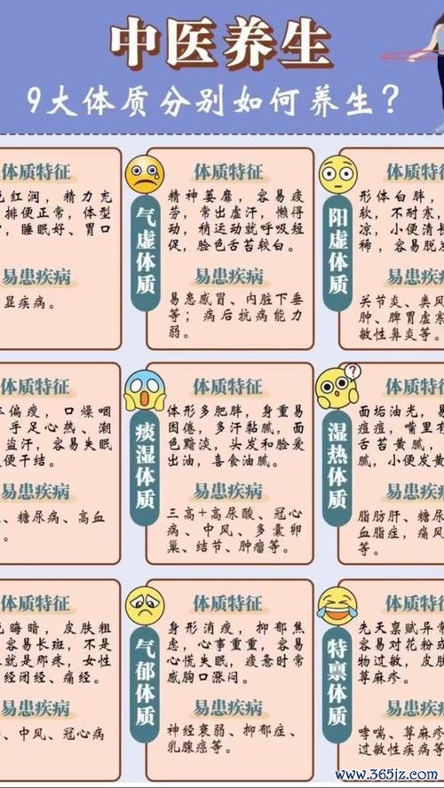 中医养生门户平台软件下载安卓版_官方手机app下载_中医养生门户平台电脑PC端最新版本