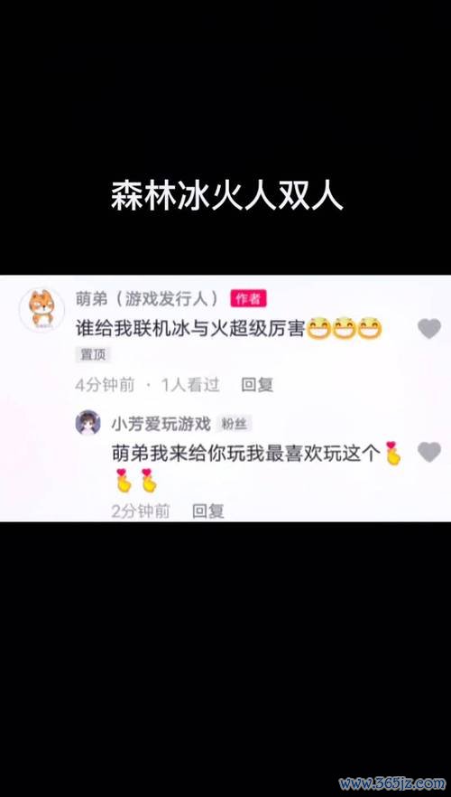 森林冰火人4双人版游戏下载_森林冰火人4双人版官网下载_手机安卓苹果app