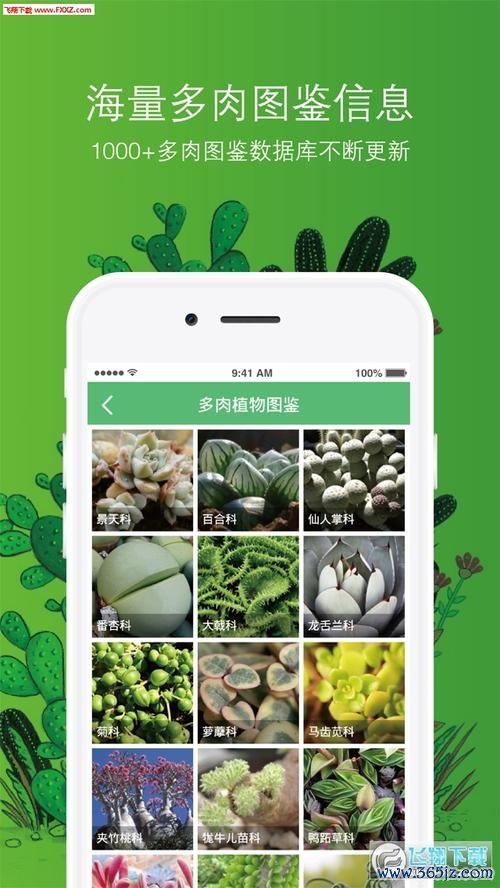 好多肉app下载安卓版_官方手机软件下载_好多肉电脑PC端最新版本 好多肉app下载安卓版_官方手机软件下载_好多肉电脑PC端最新版本