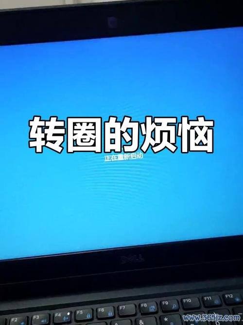 转圈软件下载安卓版_官方手机app下载_转圈软件电脑PC端最新版本