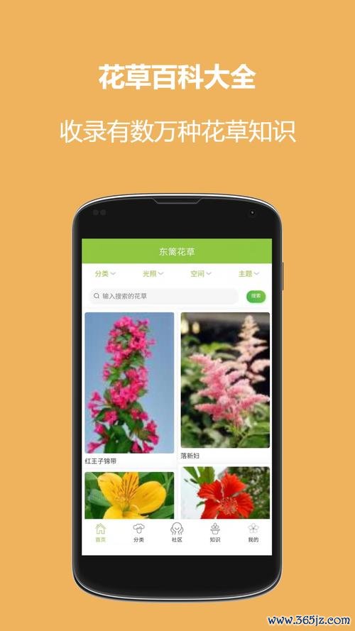 薇恋软件下载安卓版_官方手机app下载_薇恋电脑PC端最新版本