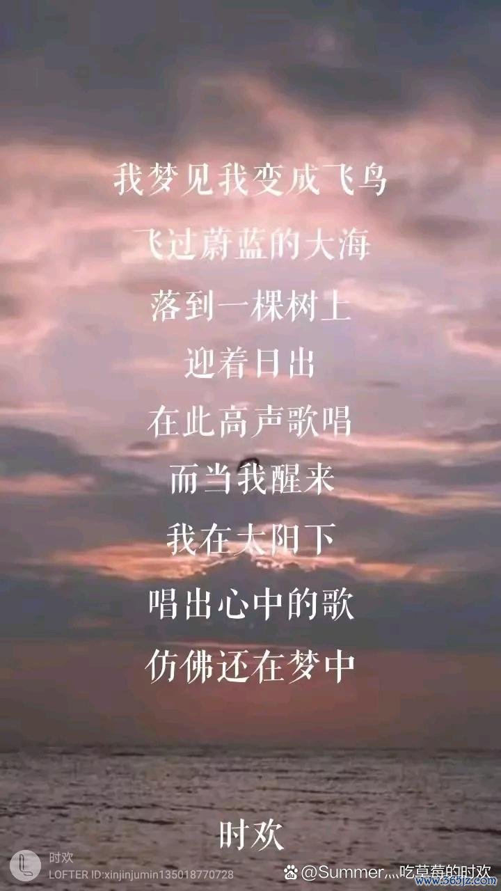 飞鸟wifi钥匙下载安卓版_官方手机app下载_飞鸟wifi钥匙电脑PC端最新版本 飞鸟wifi钥匙下载安卓版_官方手机app下载_飞鸟wifi钥匙电脑PC端最新版本