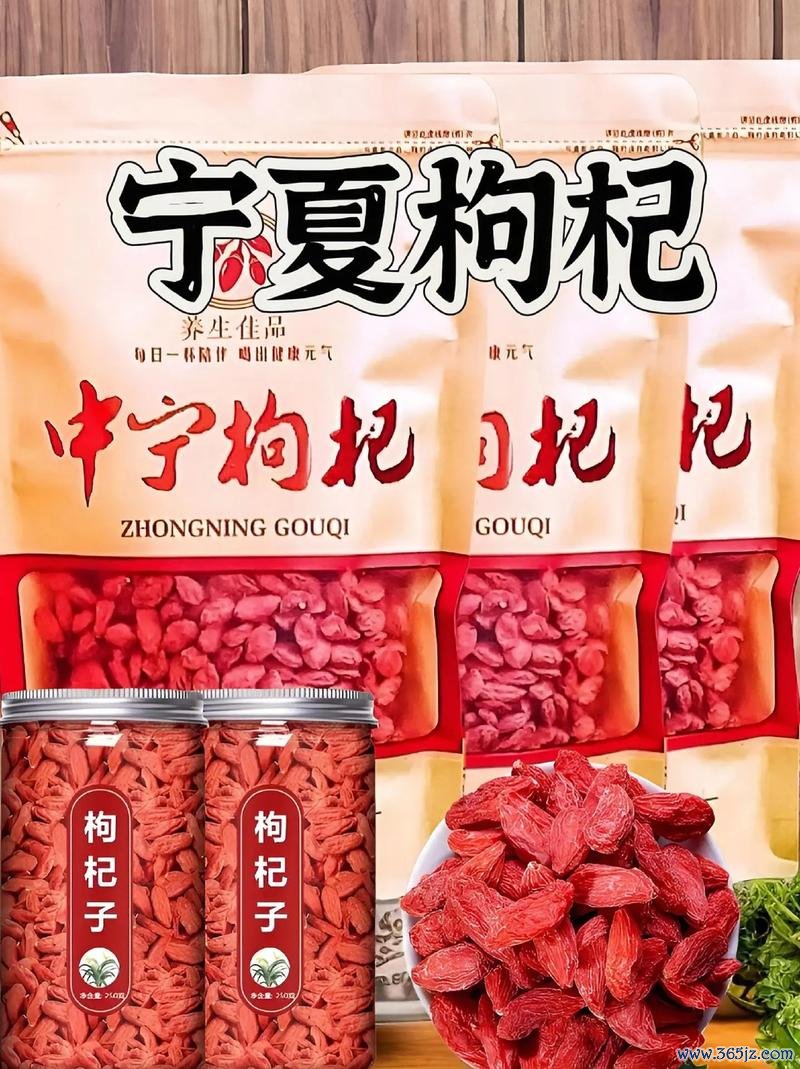 枸杞音乐安卓版下载_官方手机app下载_枸杞音乐电脑PC端最新版本